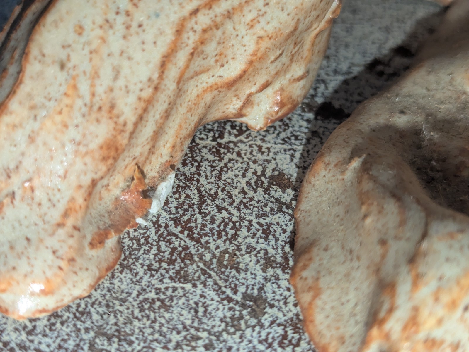 Amazing Large Tree Stump / Root Studio Pottery Vase or Planter Signed MRS