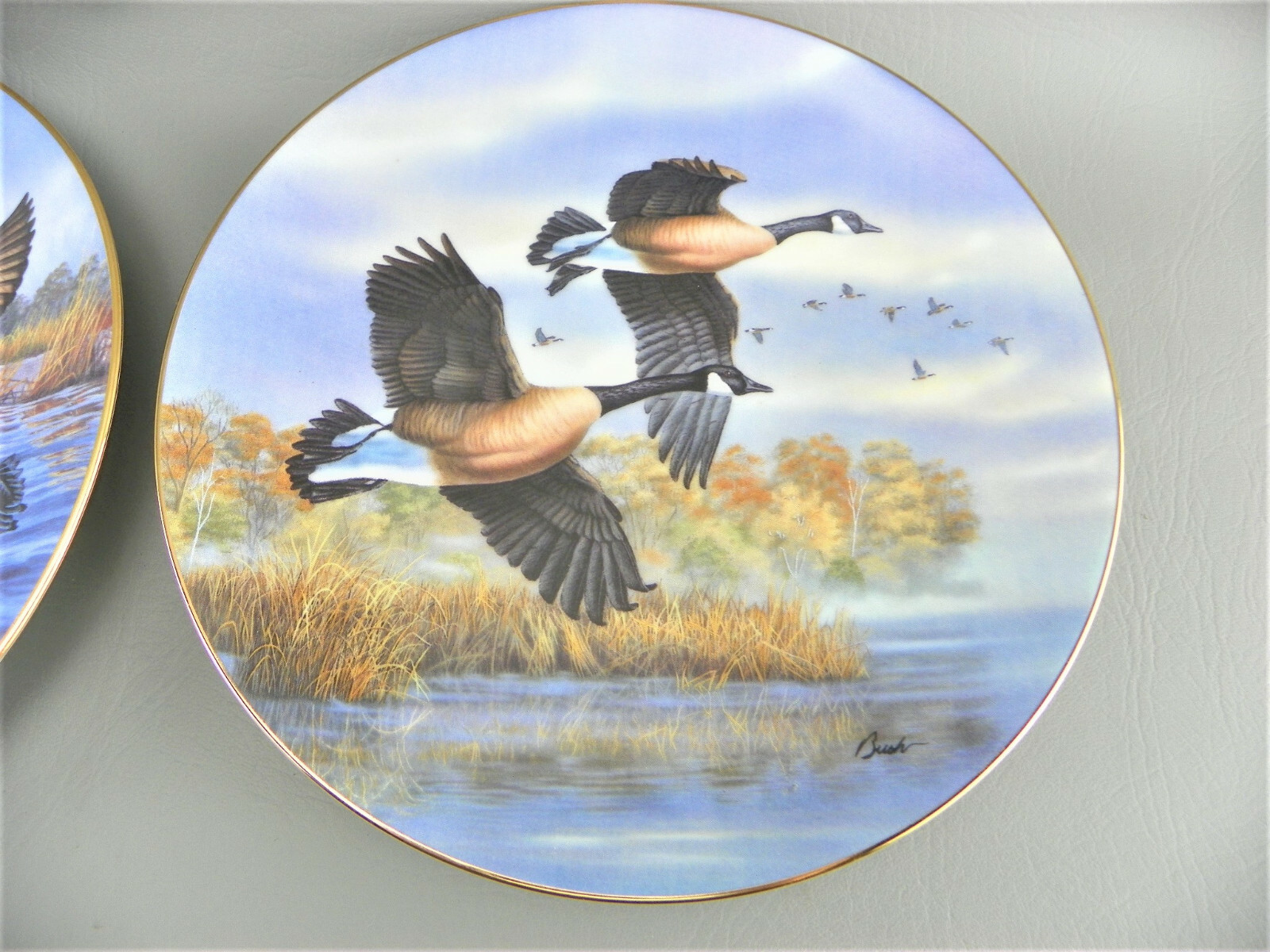 Vintage Dominion China 1990/91 Canadian Nature Birds Darrell Bush # Plate Lot