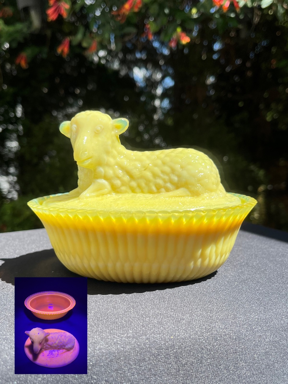 Vintage Degenhart Custard Glass Lamb on Nest Dish Glows Peachy Pink UV Light