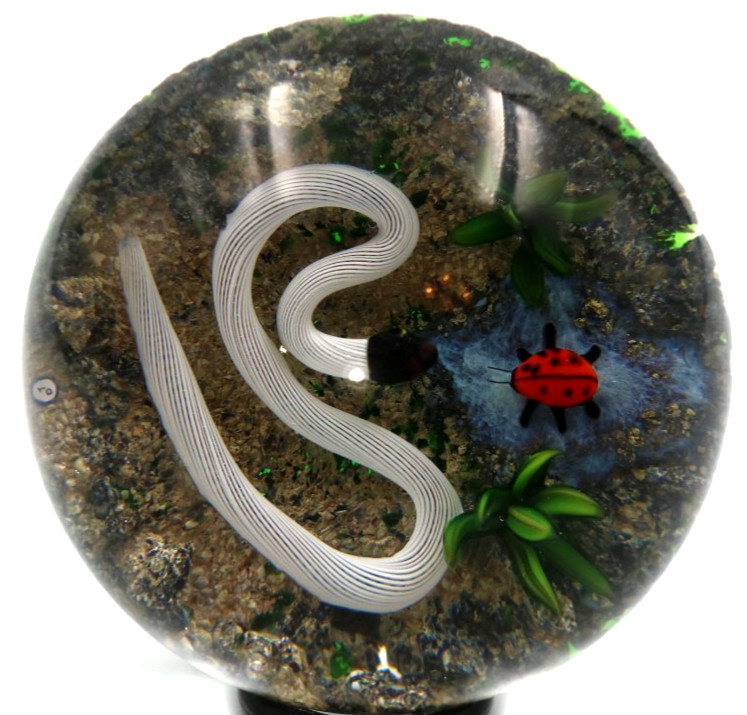 Fascinating DELMO TARSITANO Ribbon Snake Lady bug Beetle Art Glass Paperweight