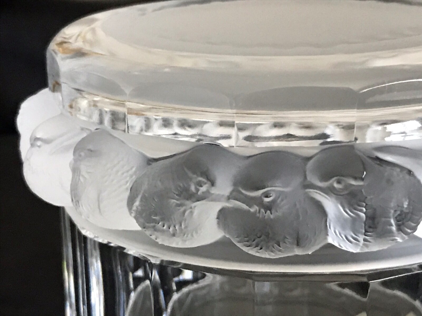 LALIQUE France Crystal Robinson Mesanges Powder Dresser Box, Birds Sparrows UWB!