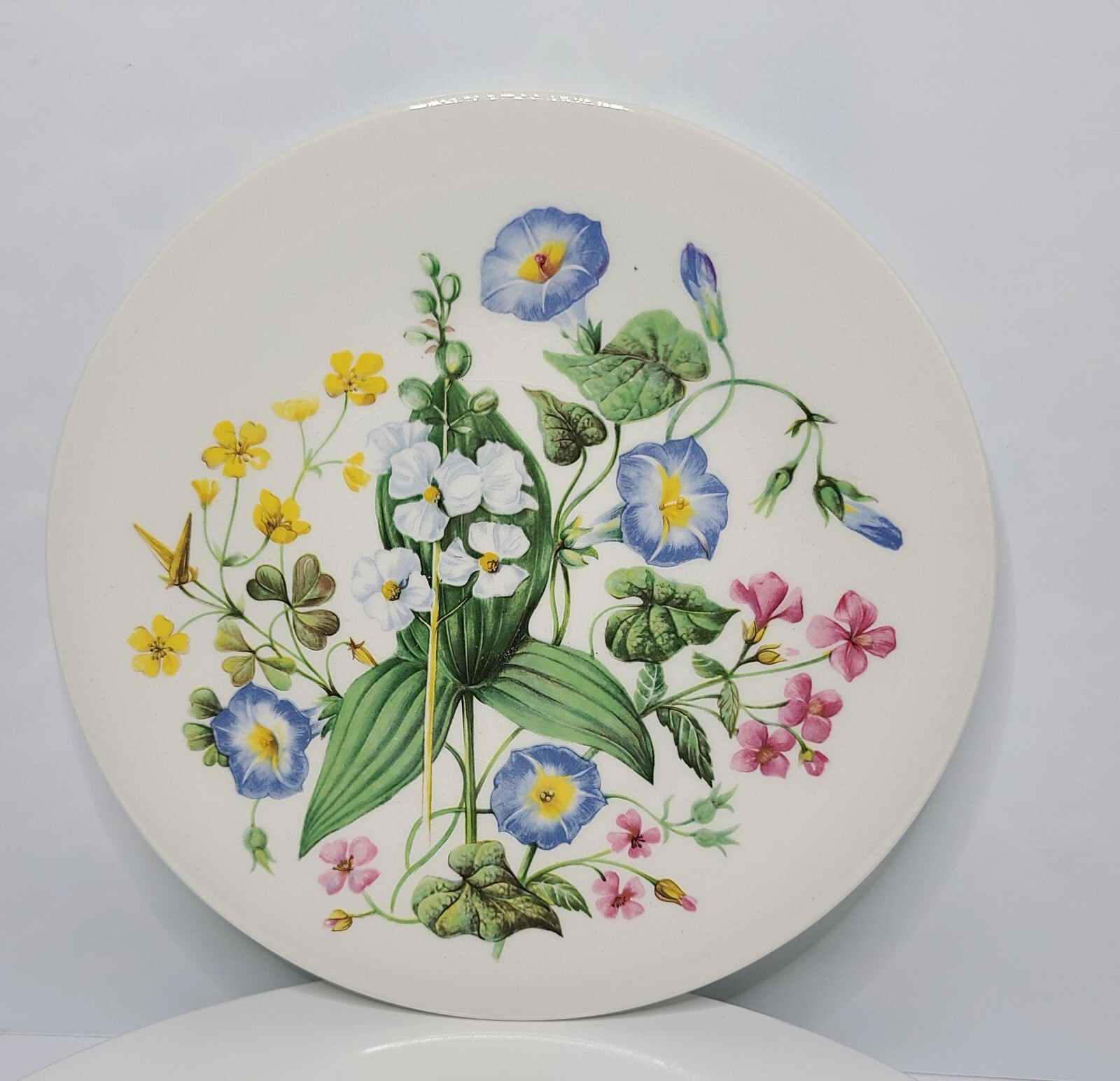 Wild Flowers Of The Southern U.S. Vintage Wedgwood Wall Plate 8 1/2” Round