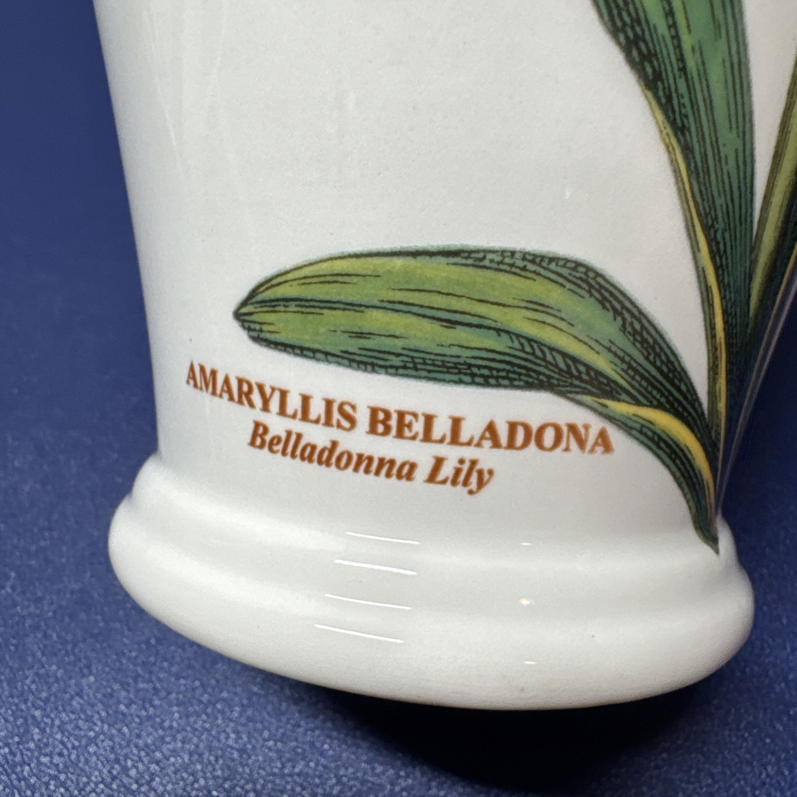 Portmeirion Botanic Garden 6.5″ Canton Vase Amaryllis Belladonna Lily England