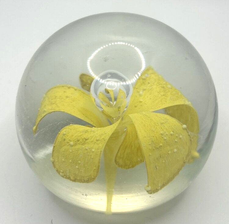 Vintage Glass Paper Weight Daffodil U258/21