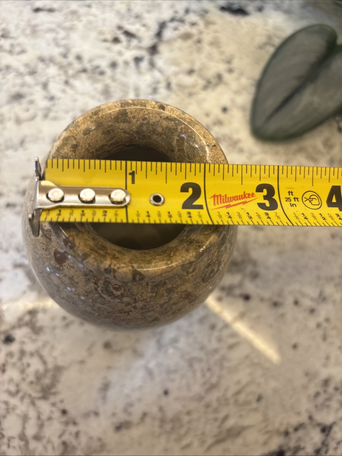 Pier One Tan Solid Stone Vase Fossilized Architectural Decor Office Brutalist