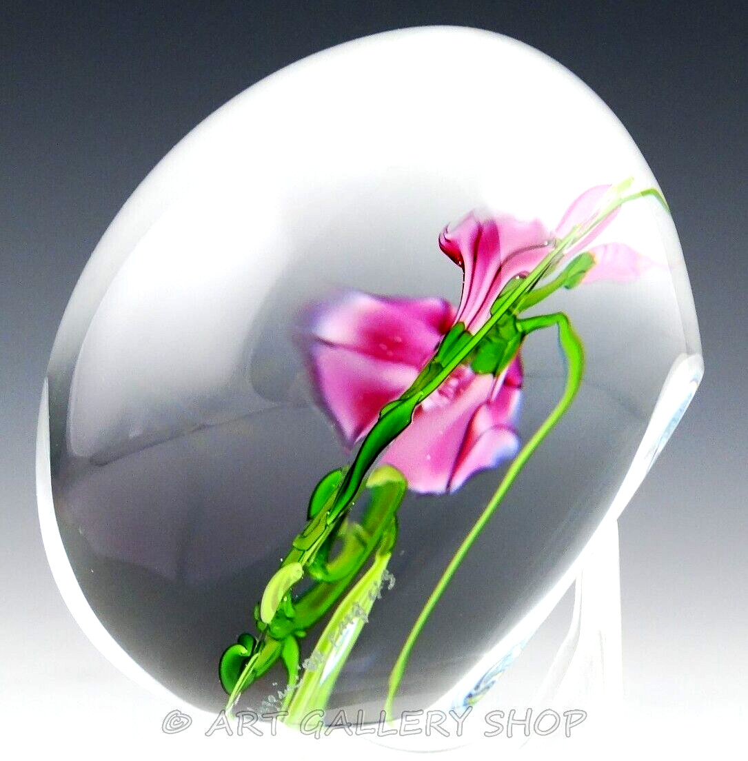 1988 CHRIS BUZZINI 3-1/8″ Art Glass Paperweight PINK MORNING GLORIES FLOWERS