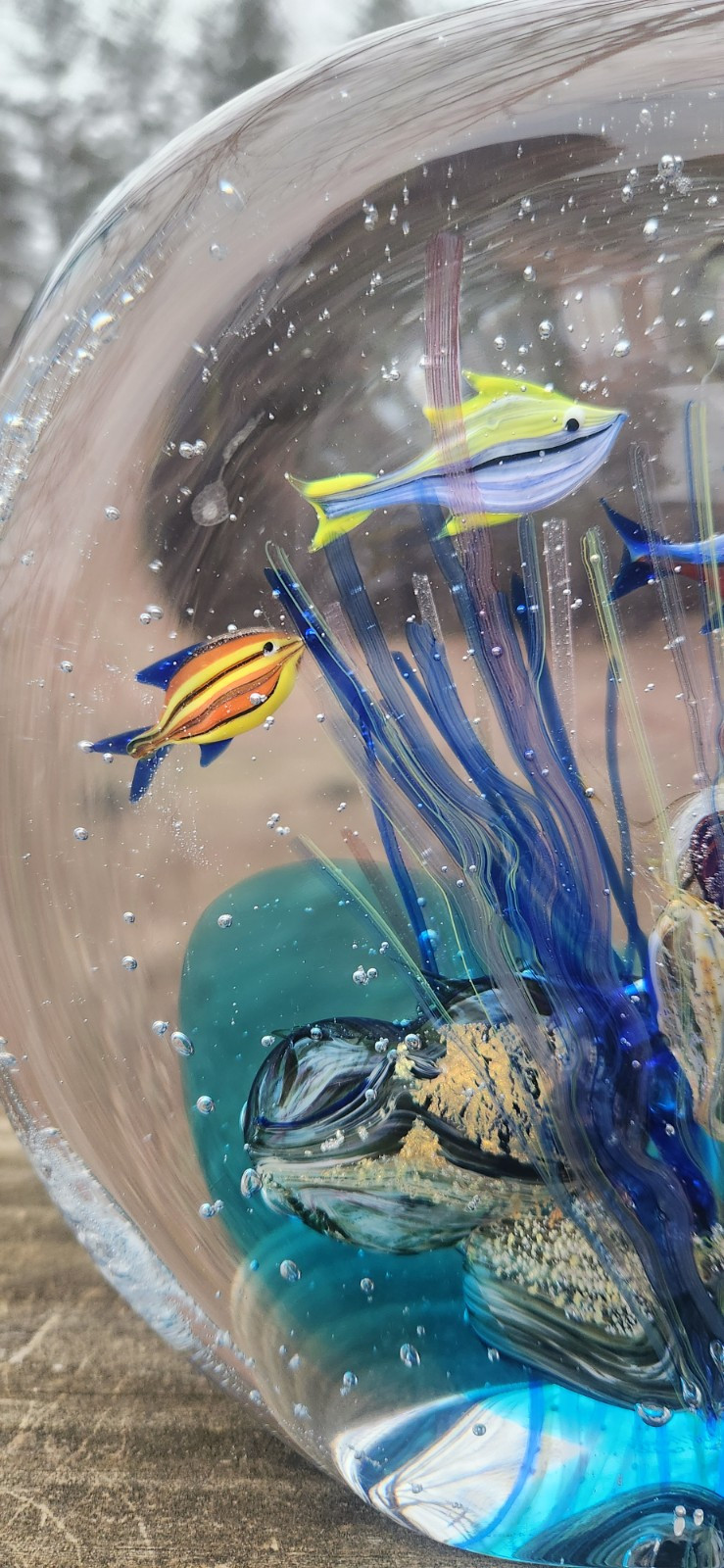 LG Vtg Murano Signed Glass Fish Sculpture Aquarium/Reef 12.6 lbs 8″Tx9.5″W 3″