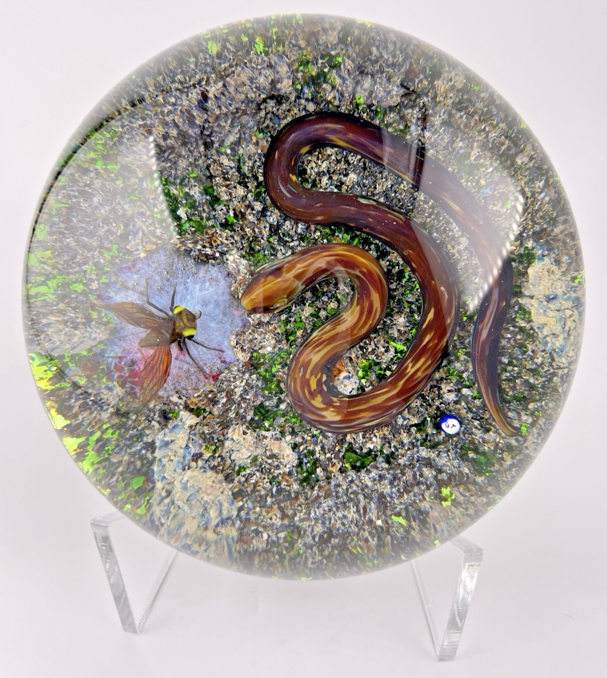 Delmo Tarsitano Magnum Snake & Fly From His “Earth Life” Series. 3.5″