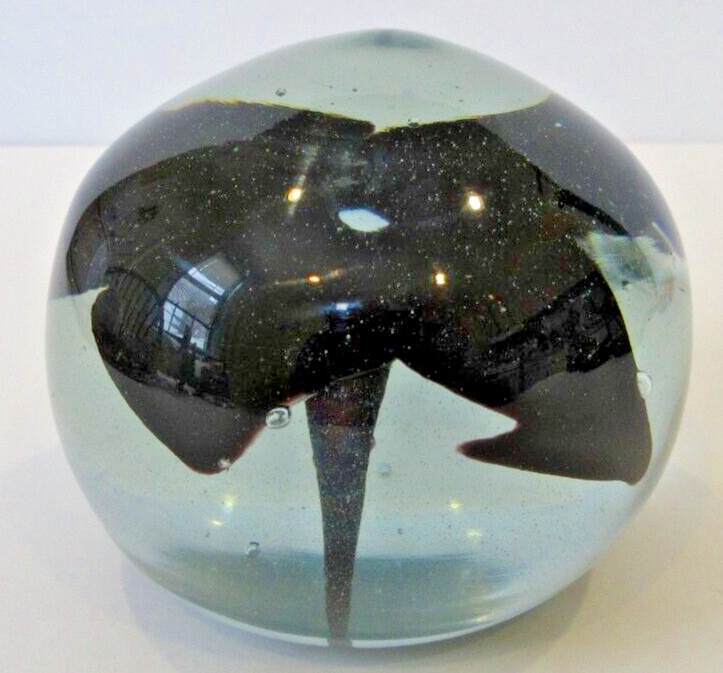 VINTAGE Black Dahlia Flower Paperweight Iridescent Glass – SIGNED Pat O’Dowd 76