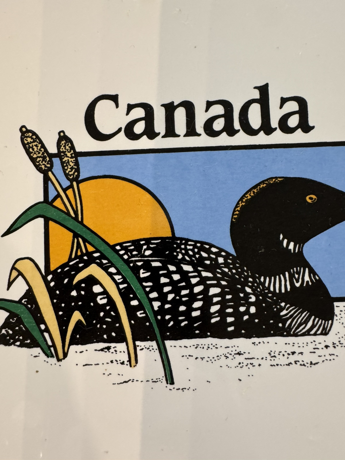 Vintage Canada Loon Bird Decorative Wall Plaque Tile, 6 Inches Square