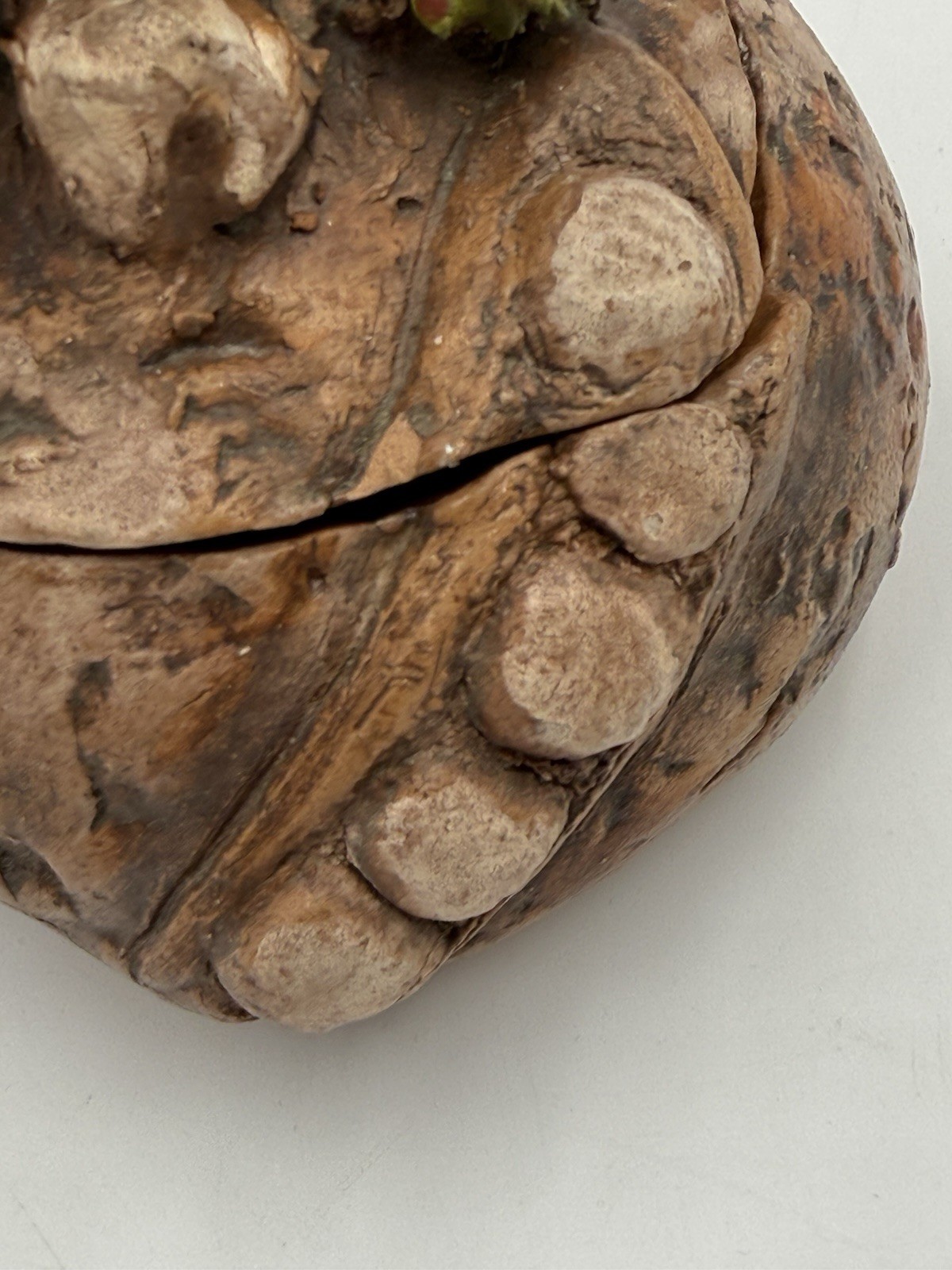 Art Pottery Unique Handmade Boar Tree On Rock Trinket Box Figurine