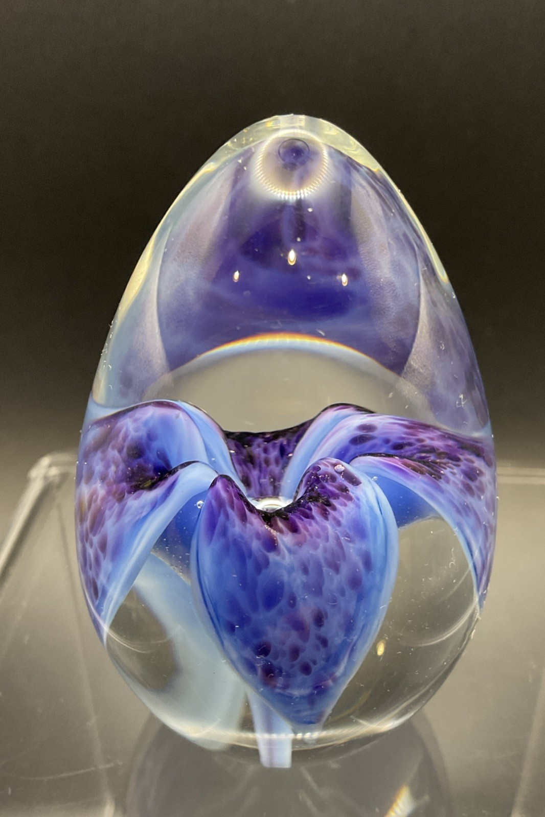 Blue Purple Orchid Glass Eye Studio Paperweight Signed GES 02, 2 7/8 Inches