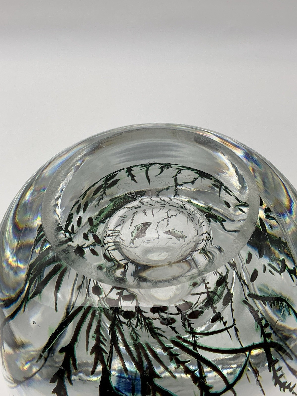 Orrefors Fish Underwater Aquarium Graal Vase Edward Hald Sweden 5.25 Inches