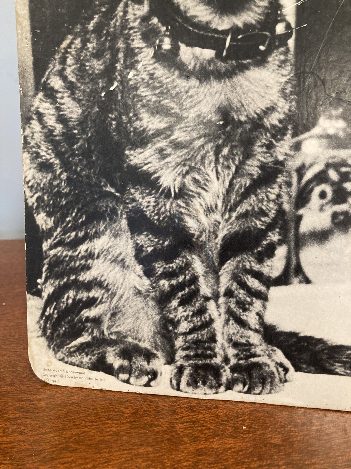 Vintage Bluebird of Happiness Cat Kitty Art Poster Wall Art 1974 Freestanding