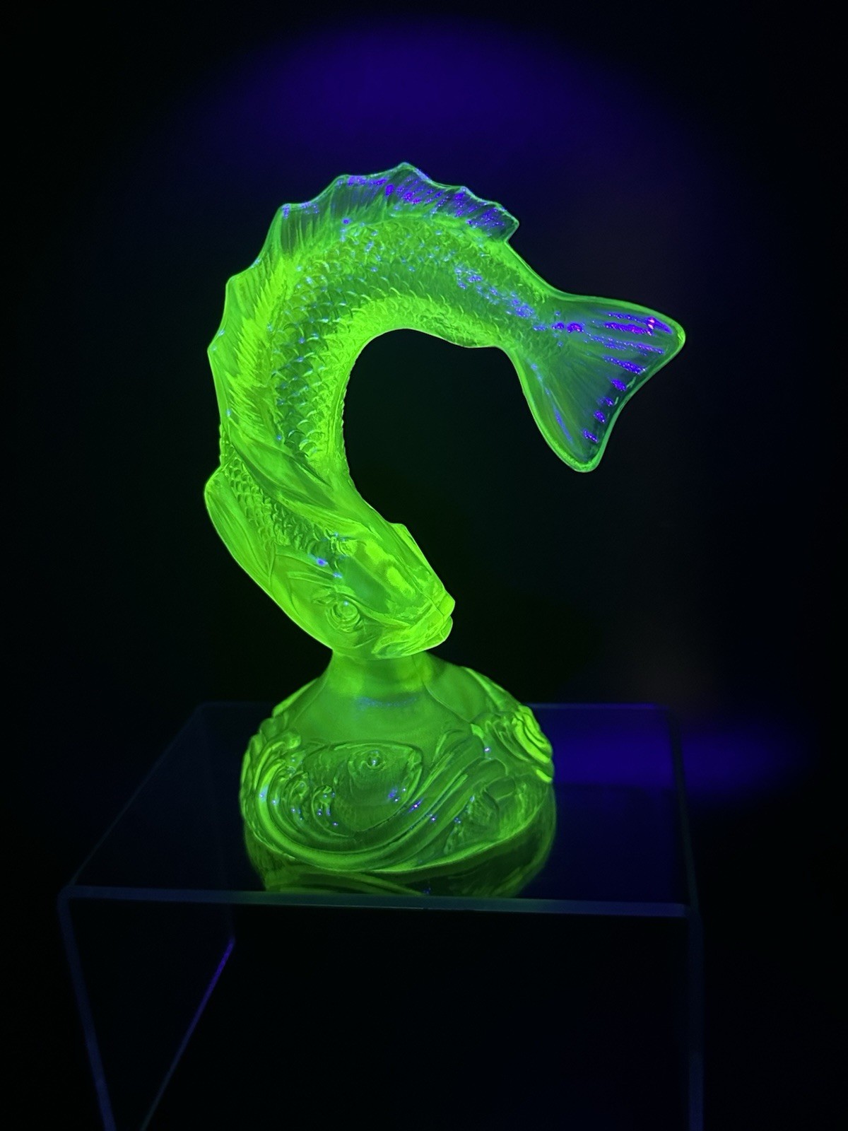 Fenton Cobalt Injected Iridized Topaz Jumping Fish 5193 OM 2005 💥HTF💥