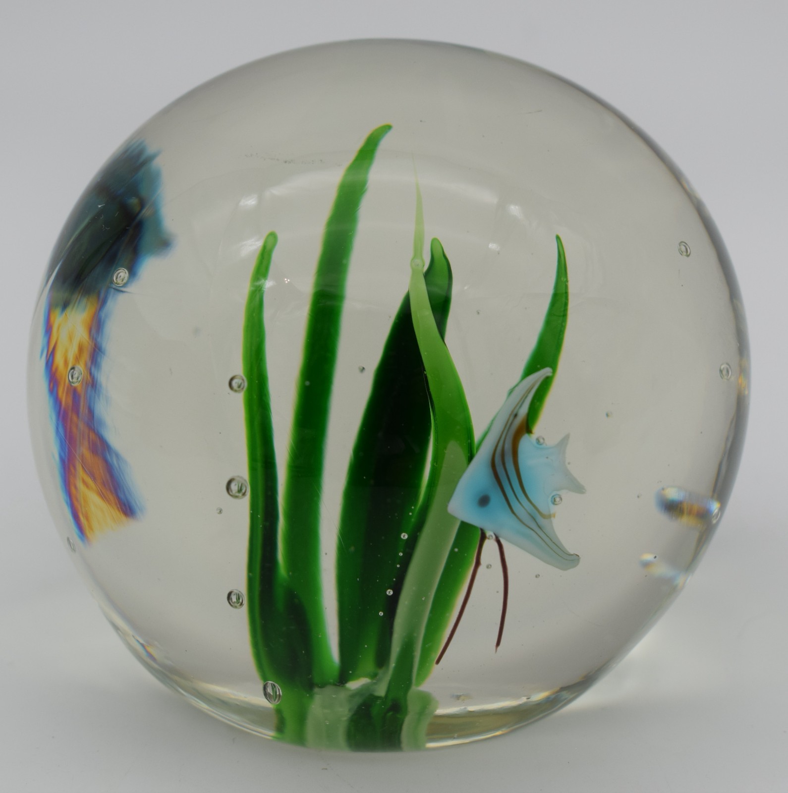 Art Glass Paperweight Seascape Ocean Grass Water Blue Tropical Fish #TB13