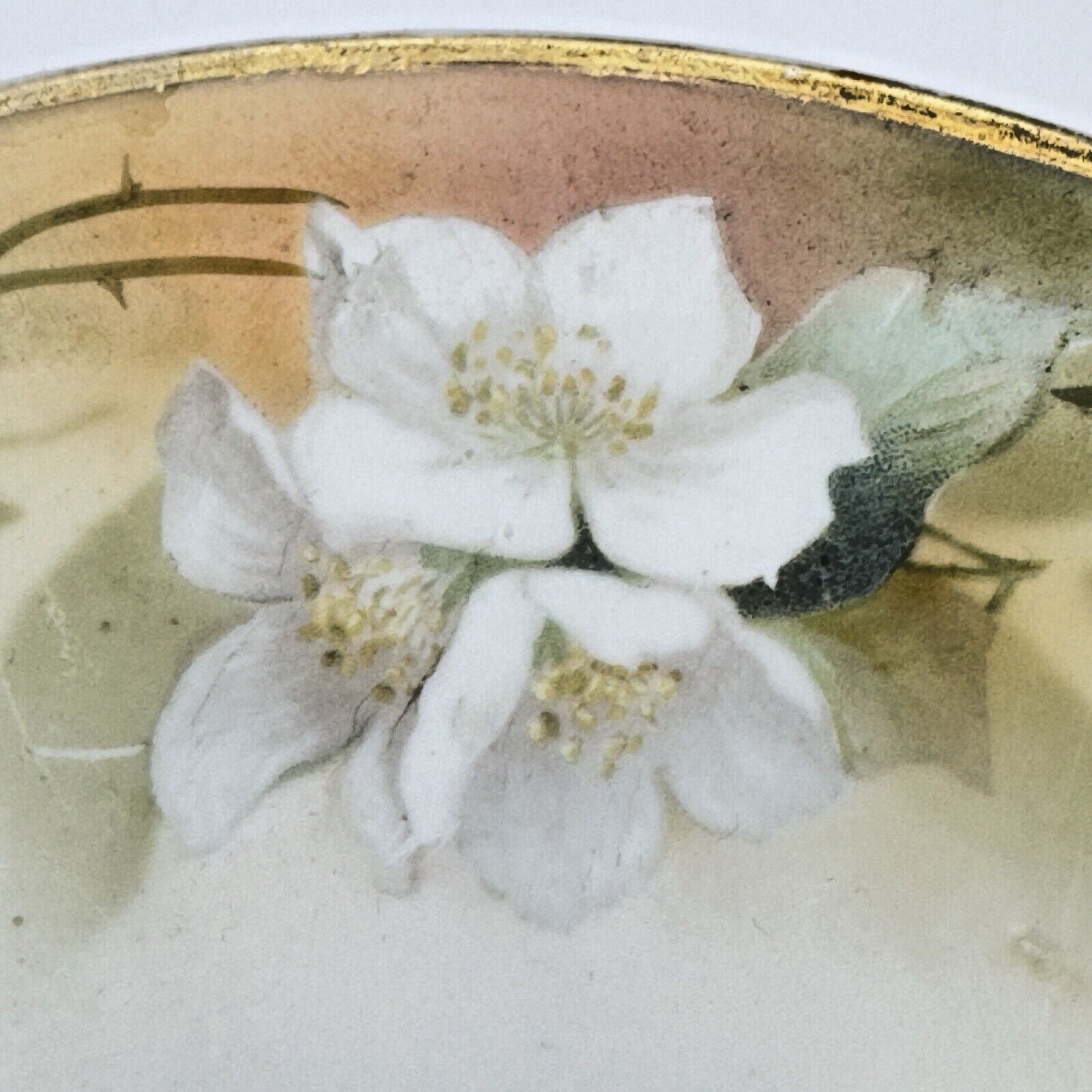 Antique RS Germany Reinhold Schlegelmilch Hand Painted Floral Gilt Plate 7″