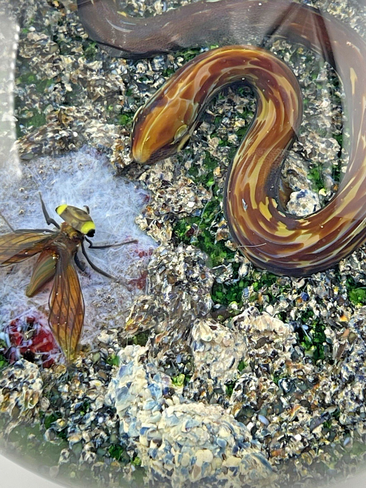 Delmo Tarsitano Magnum Snake & Fly From His “Earth Life” Series. 3.5″
