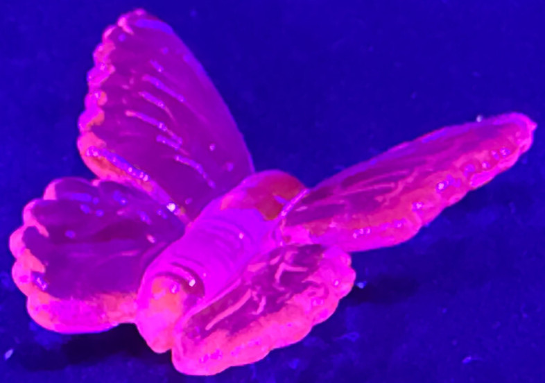 Green Vaseline glass butterfly insect monarch glow moth animal uranium selenium