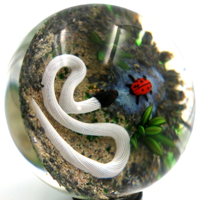 Fascinating DELMO TARSITANO Ribbon Snake Lady bug Beetle Art Glass Paperweight