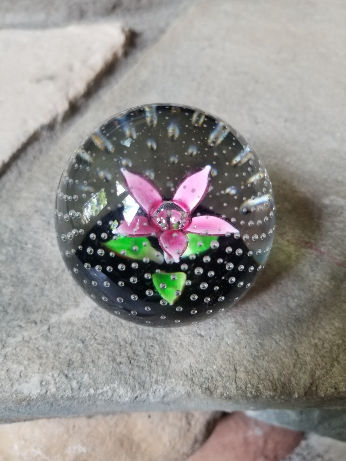 Scotland Caithness Glass Paperweight PETALS Flower in the the Rain Pink Signed