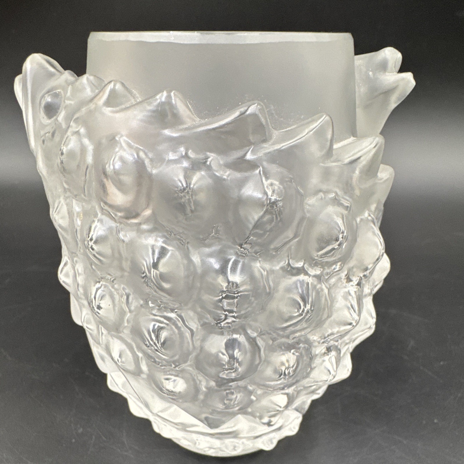 Clear Glass Vase Fish Theme Relief Pattern with Raised Decorative Frosted Detail