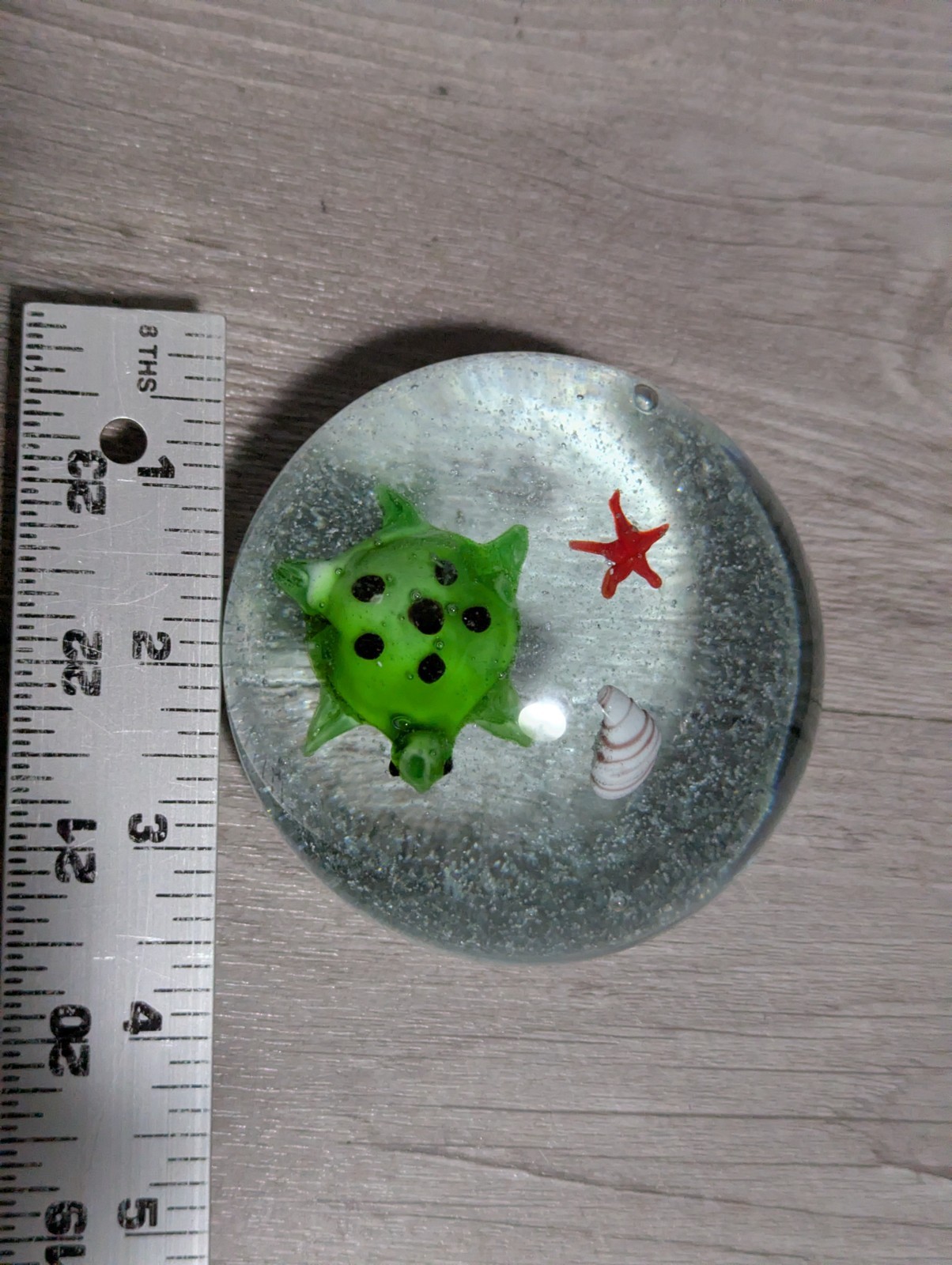 Vtg 3.5″ Art Glass Paper Weight Seascape Turtle Starfish Sea Shell Beach Decor