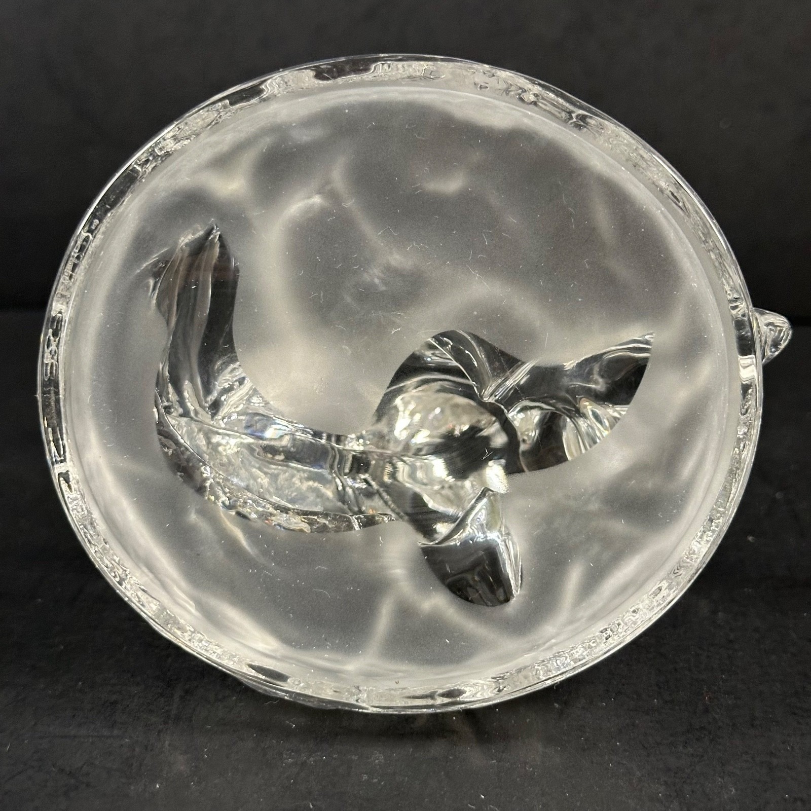 RCR Royal Crystal Rock Wildlife Seal and Baby Pup Lead Crystal Figurine, Italy