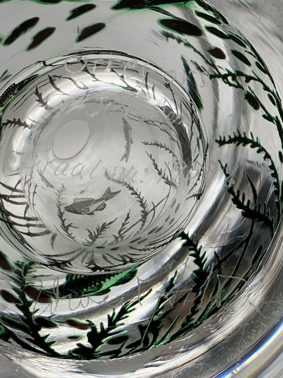 Orrefors Fish Underwater Aquarium Graal Vase Edward Hald Sweden 5.25 Inches