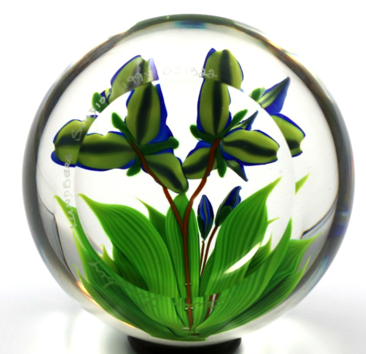 BEAUTIFUL Large STEVEN LUNDBERG Bloomed IRIS FLOWERS Art Glass Paperweight