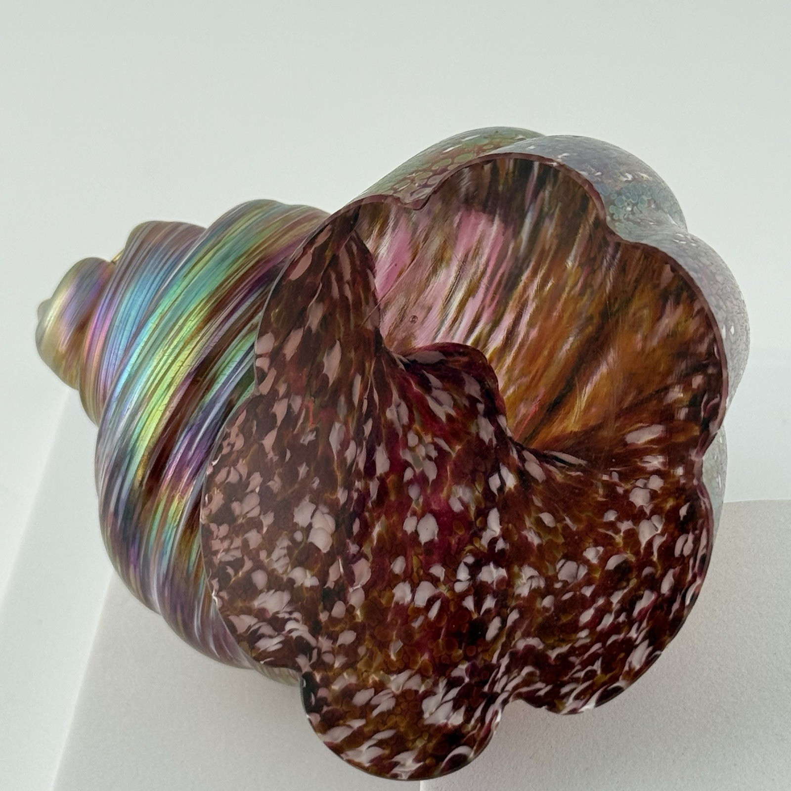 Cohn Stone Studios Art Glass Nautilus Shell Paperweight Sculpture Iridescent