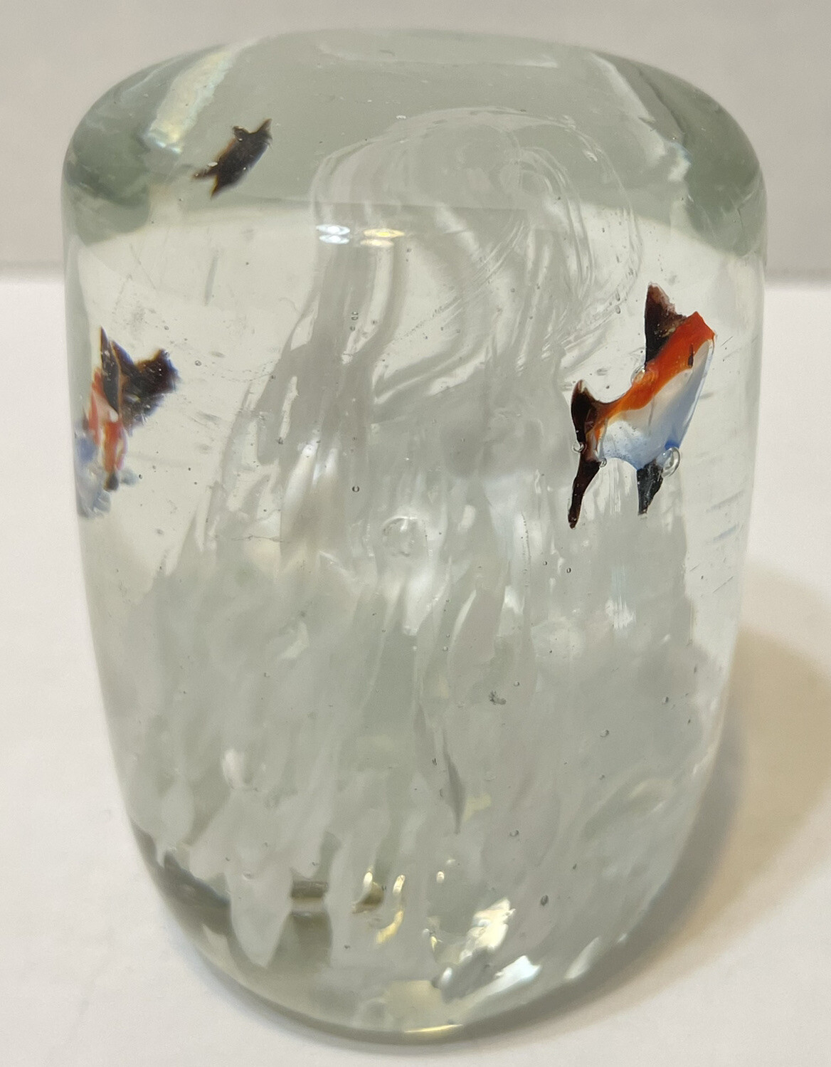 Vintage Angel Fish and Reef Clear Paperweight 2.75 x 2 Inches