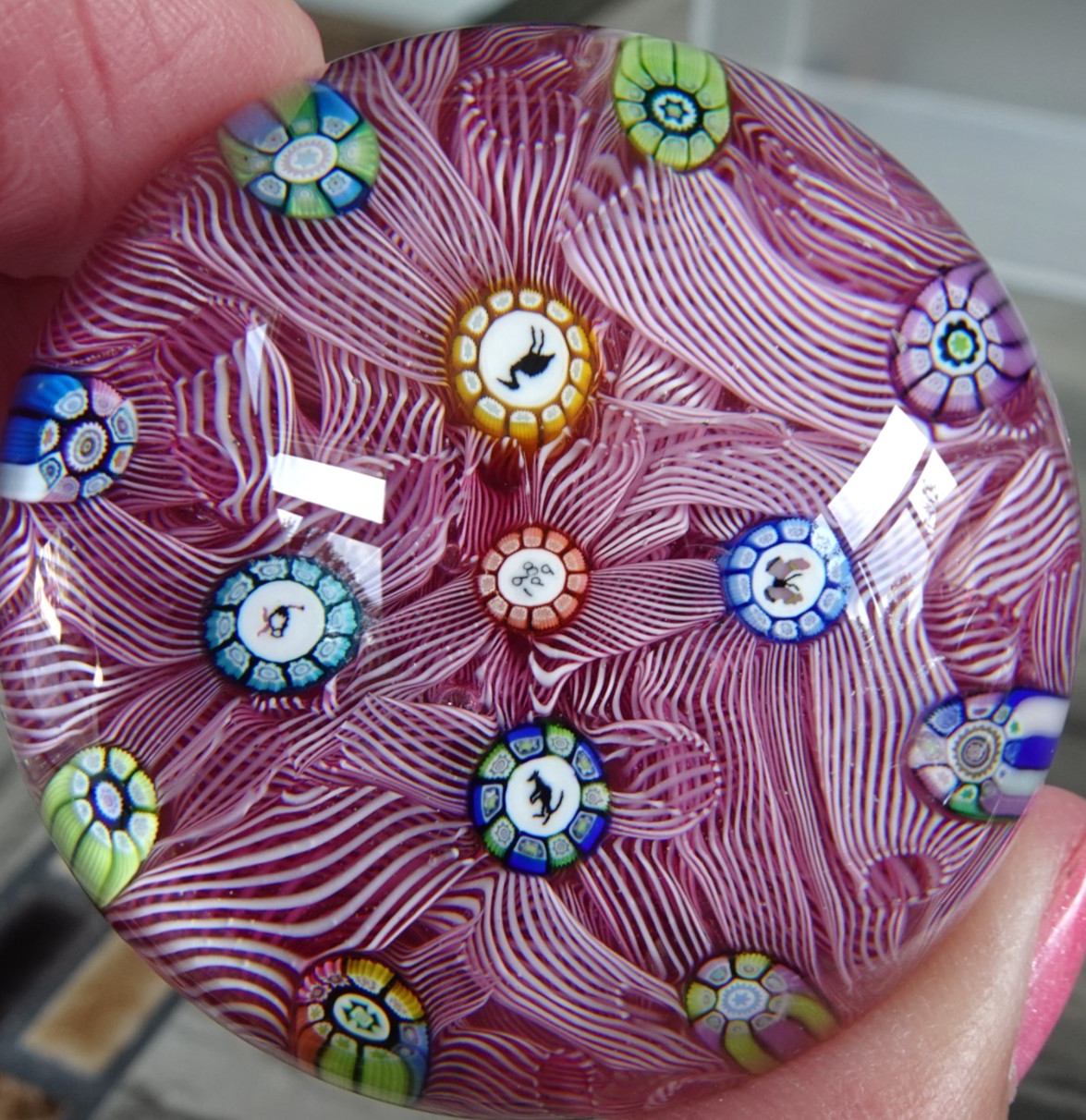 Perthshire Glass Miniature Silhouette Cane Millefiori Red Muslin Paperweight