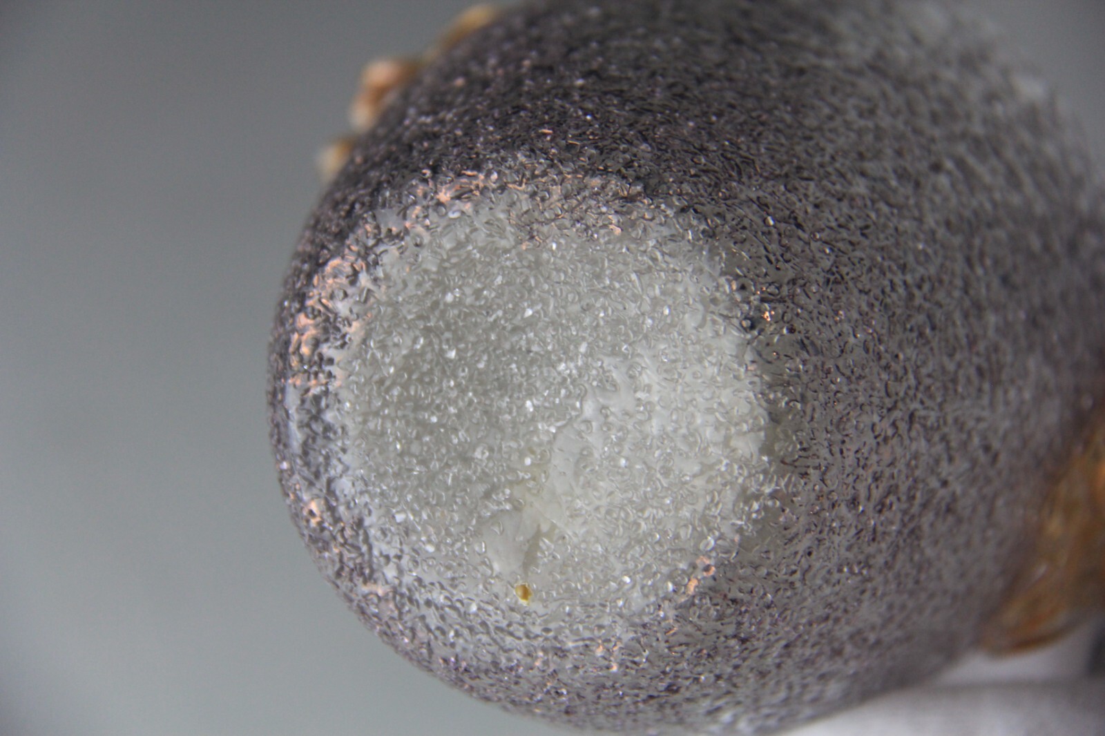 Dugan Smoke Colored Frit Vase w/ Applied Clambroth Handle -Glows!