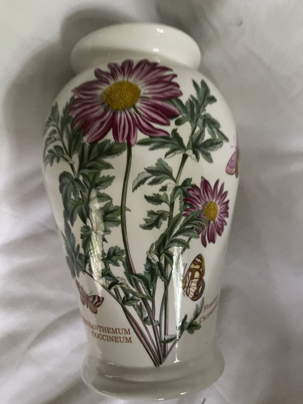 Older Portmeirion Botanic Garden Vase Chrysanthemum Canton 8” England