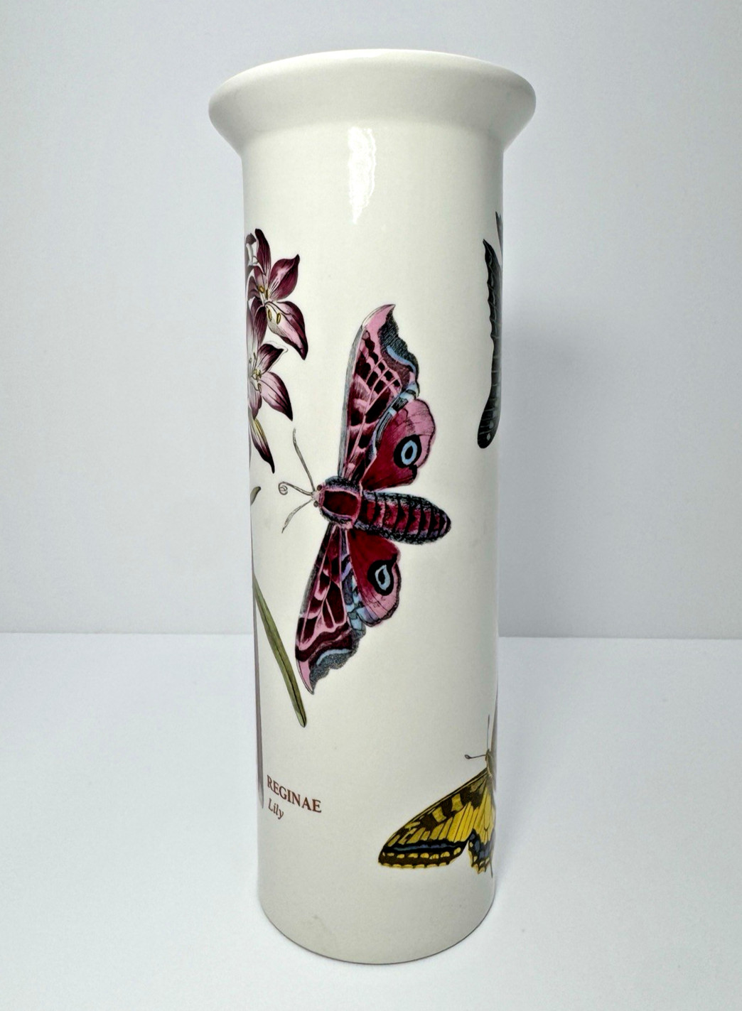 VTG Portmeirion Botanic Garden 9” Cylinder Vase AMARYLLIS Flower Moth Butterfly