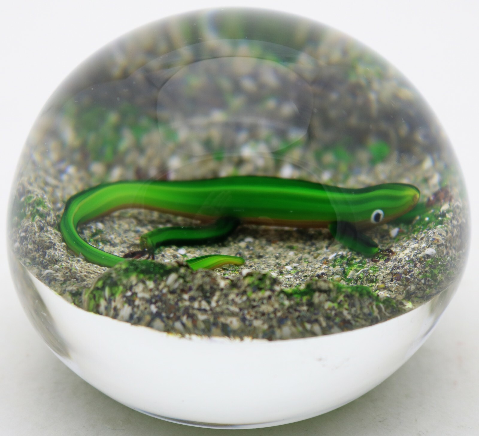 Masterful DELMO TARSITANO Vivid SALAMANDER Earth Life Art Glass PAPERWEIGHT