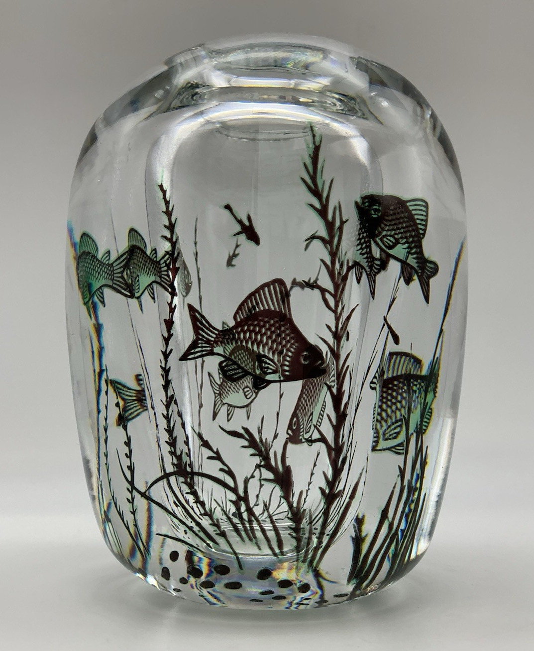 Orrefors Fish Underwater Aquarium Graal Vase Edward Hald Sweden 5.25 Inches