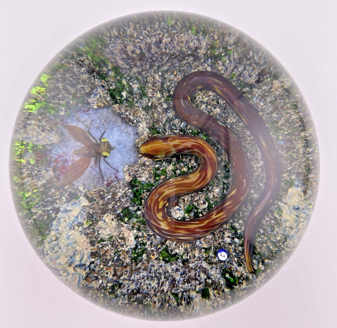 Delmo Tarsitano Magnum Snake & Fly From His “Earth Life” Series. 3.5″