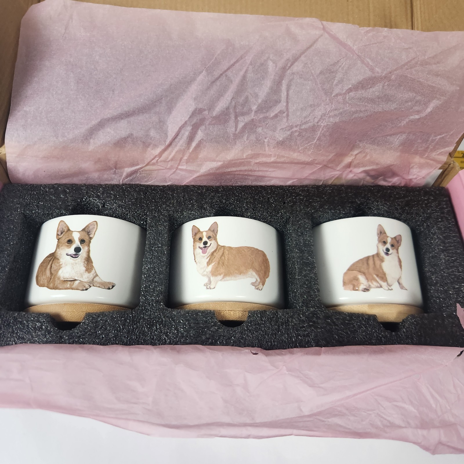 Corgi Succulent Planters Set of 3 Mini Dog Puppy Pet Ceramic Wood Gift Giftagirl