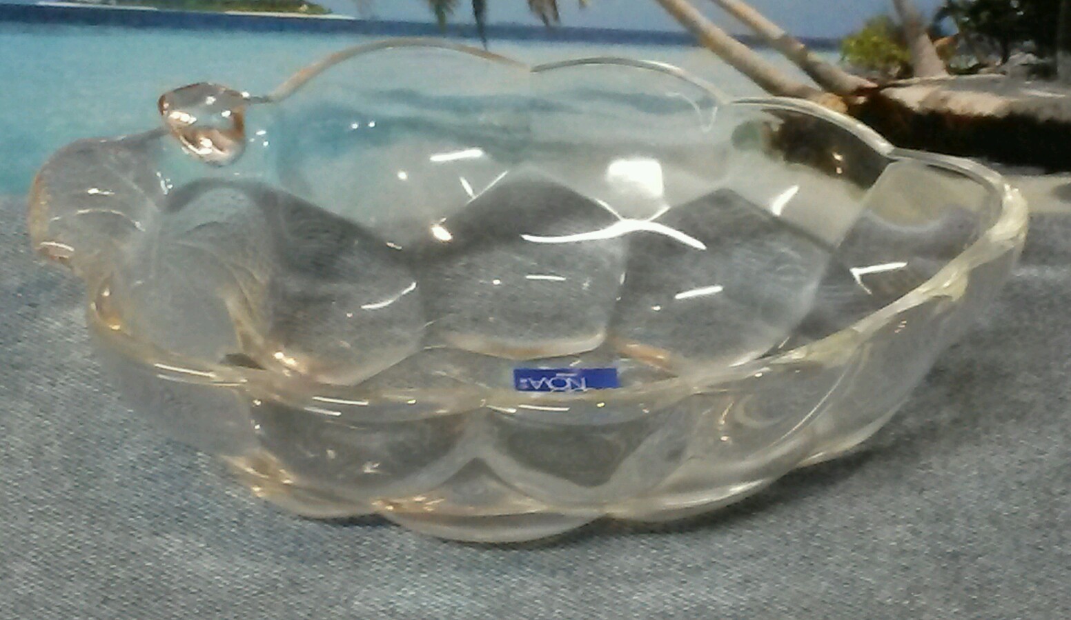 Studio Nova Nature’s Harvest Grape Leaves Fruitage Bowl Dish