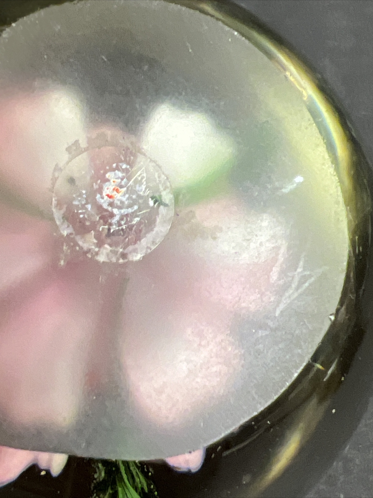 Clear Art Glass Paperweight Pink Flower w/ Green leaves and Butterflies 3.5”
