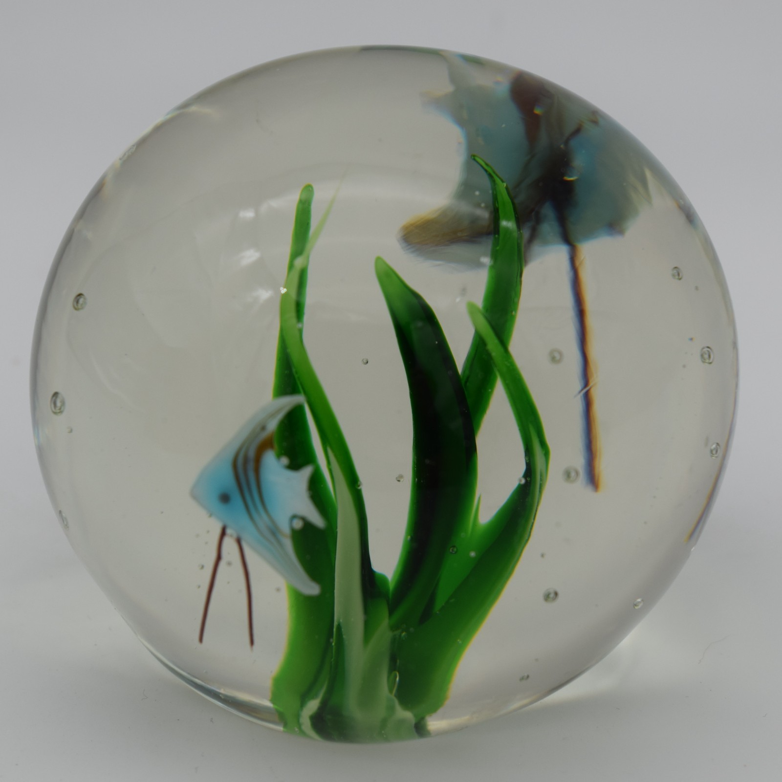 Art Glass Paperweight Seascape Ocean Grass Water Blue Tropical Fish #TB13