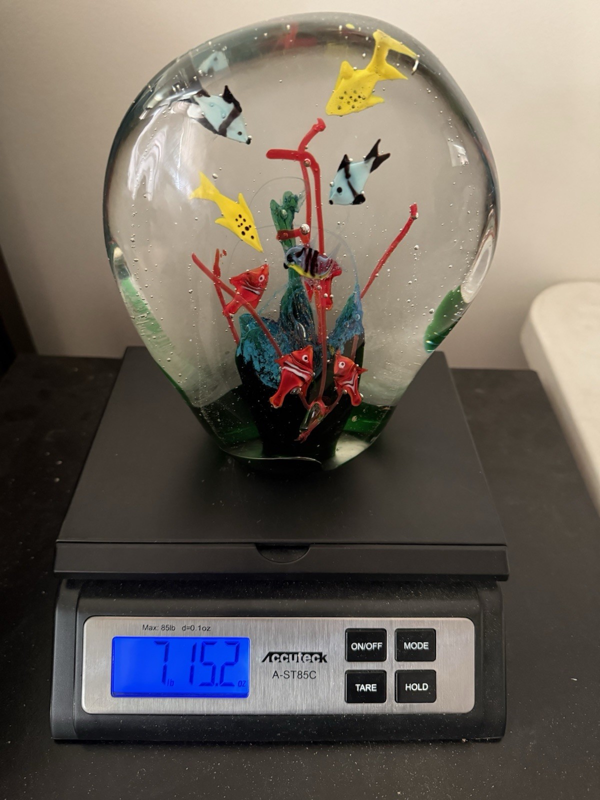 Large Murano Style Glass Aquarium Fish Paperweight 8 lbs 7.5″ Tall READ