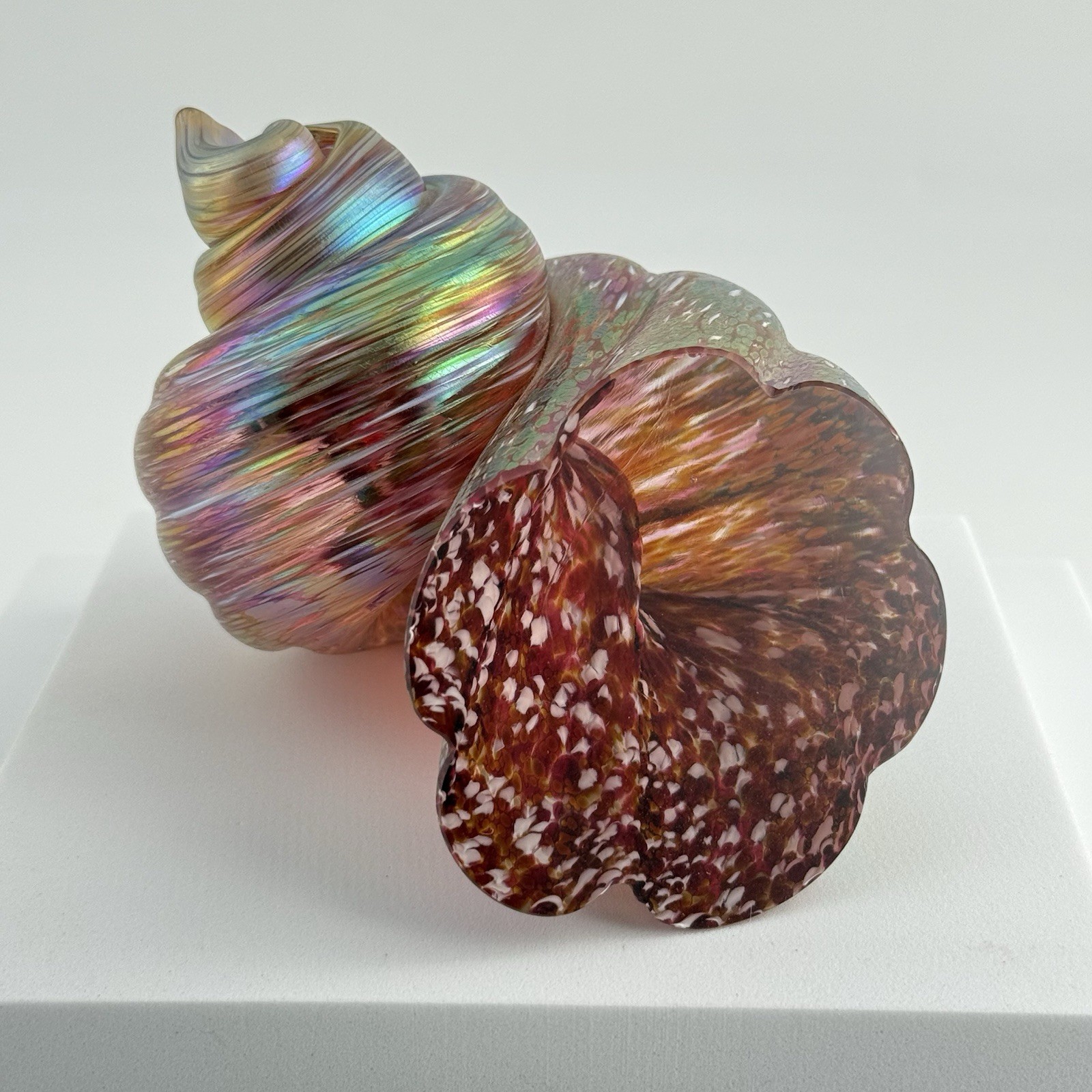 Cohn Stone Studios Art Glass Nautilus Shell Paperweight Sculpture Iridescent