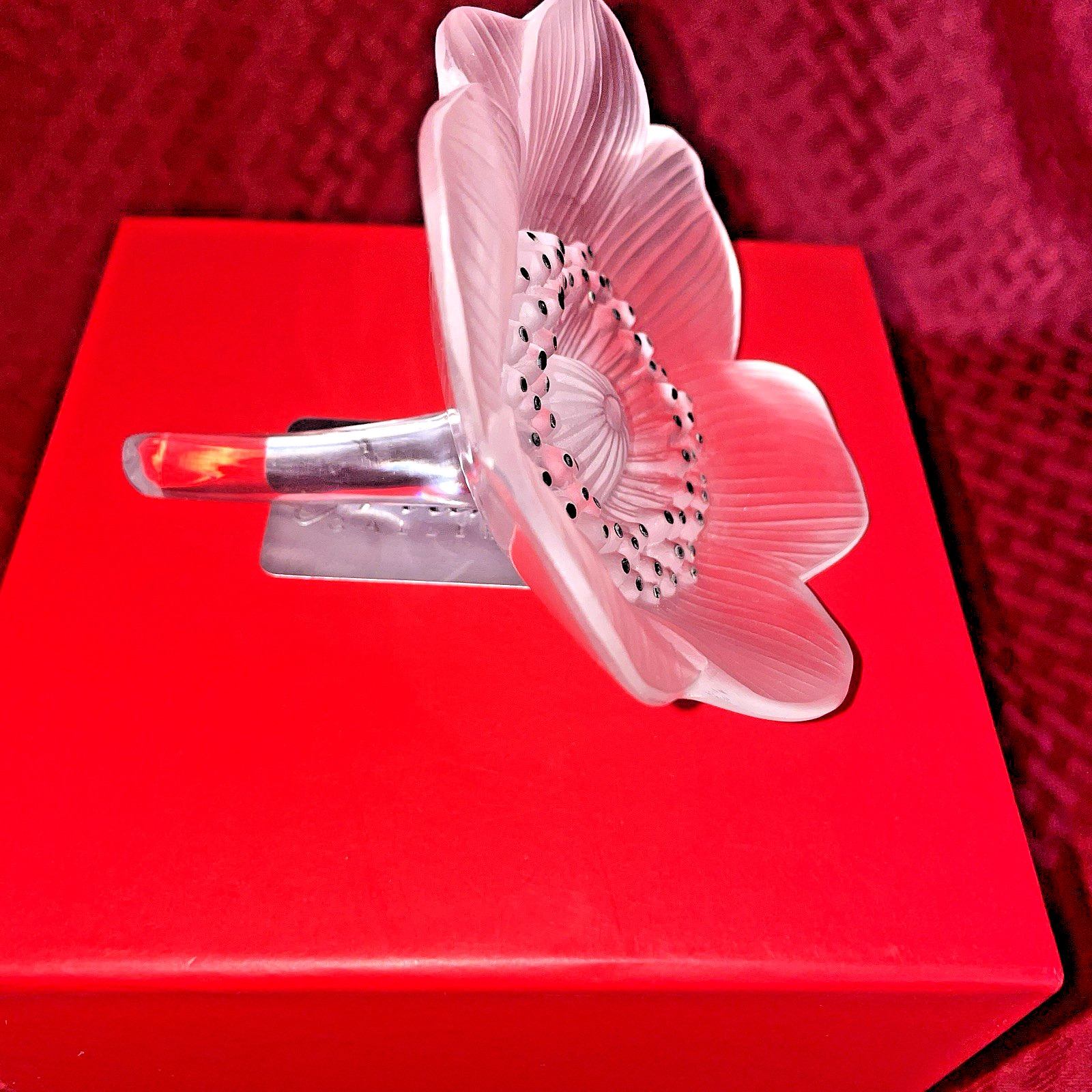 ANTIQUE LALIQUE FROSTED ANEMONE WIITH CLEAR STEM – NIB