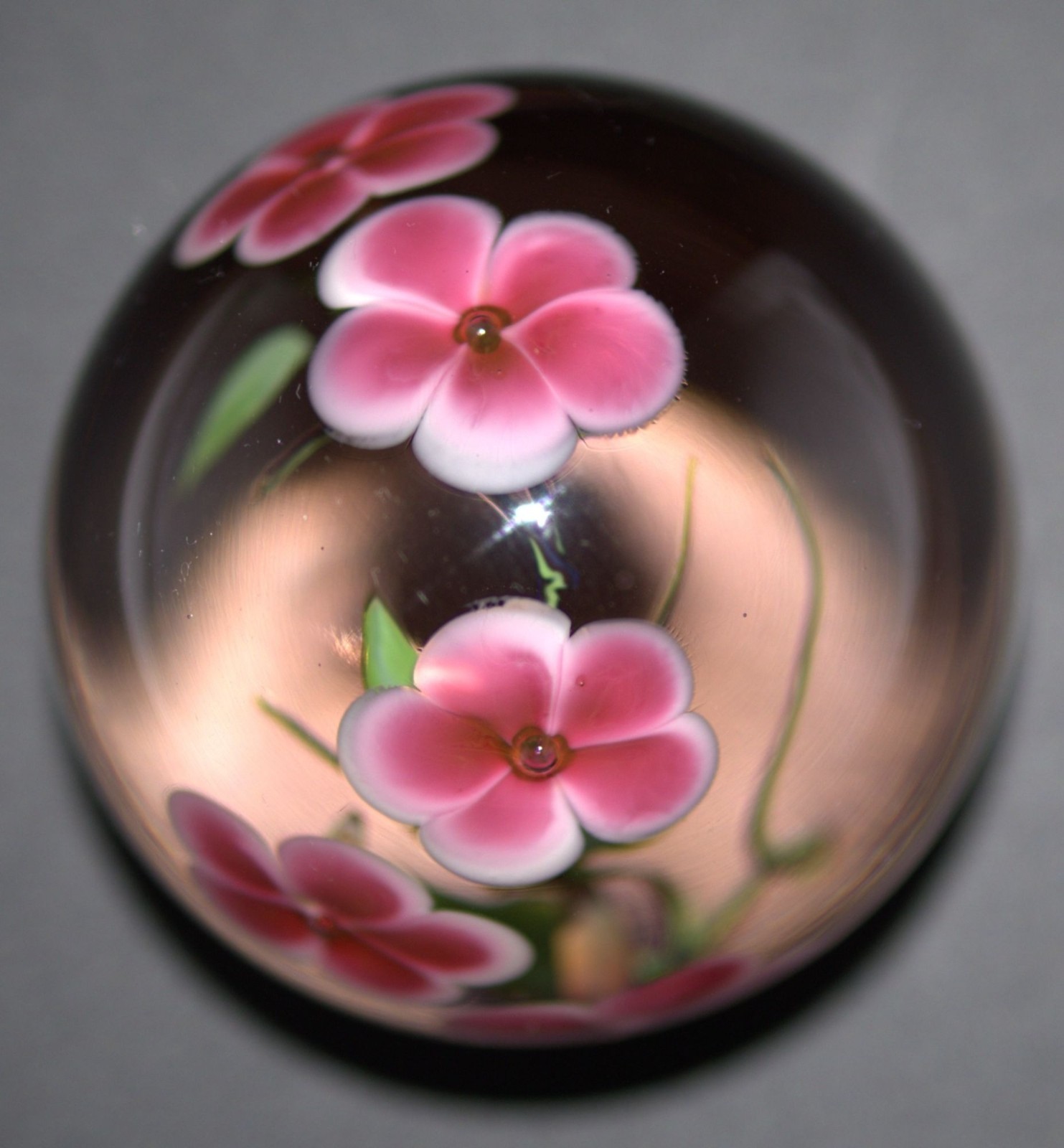 Glass Eye Studio 1986 Signed Art Glass Paperweight Pink Floral Lampwork #2292 3″