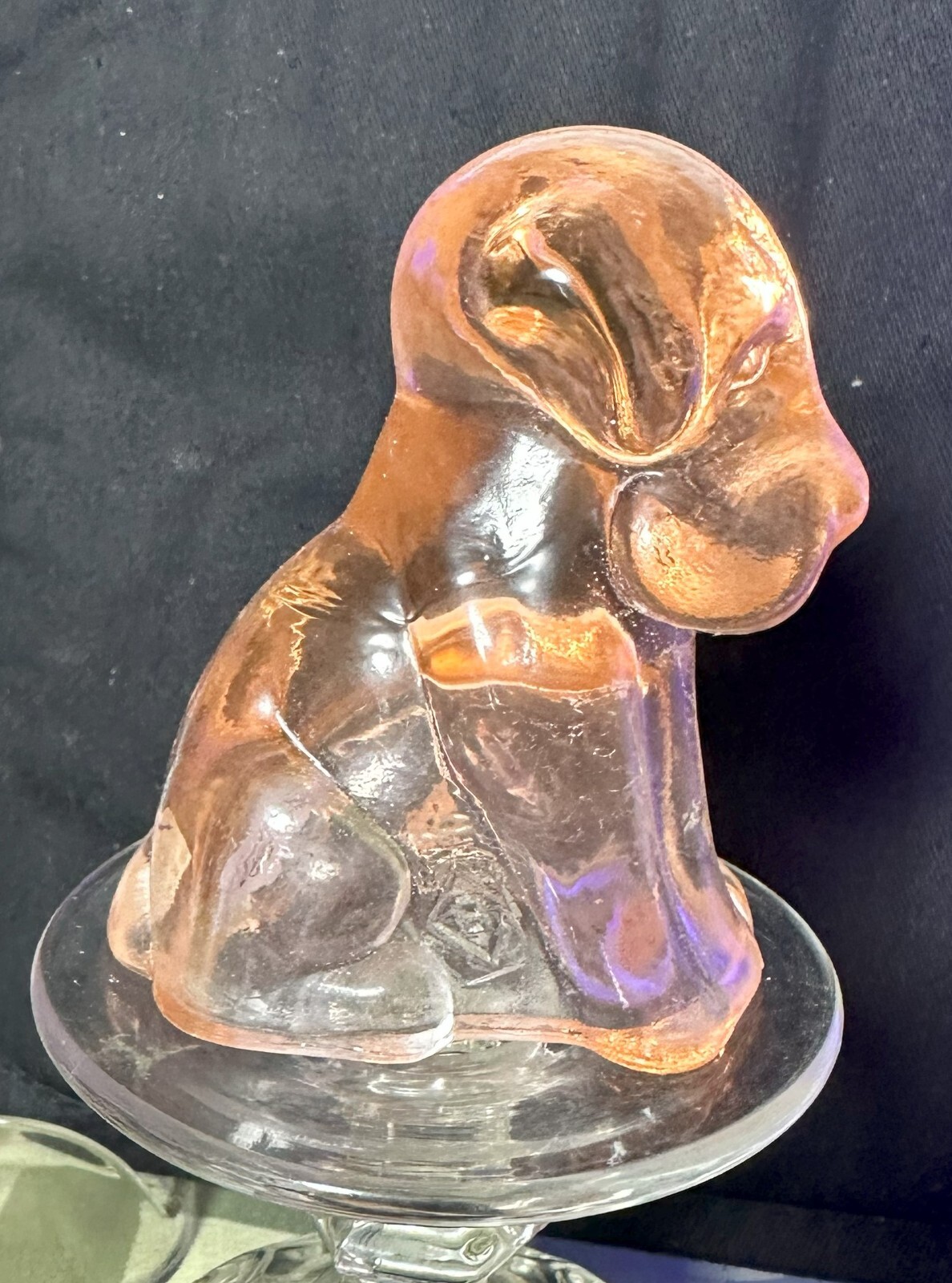 Boyd Glass Pooche Cider Glows