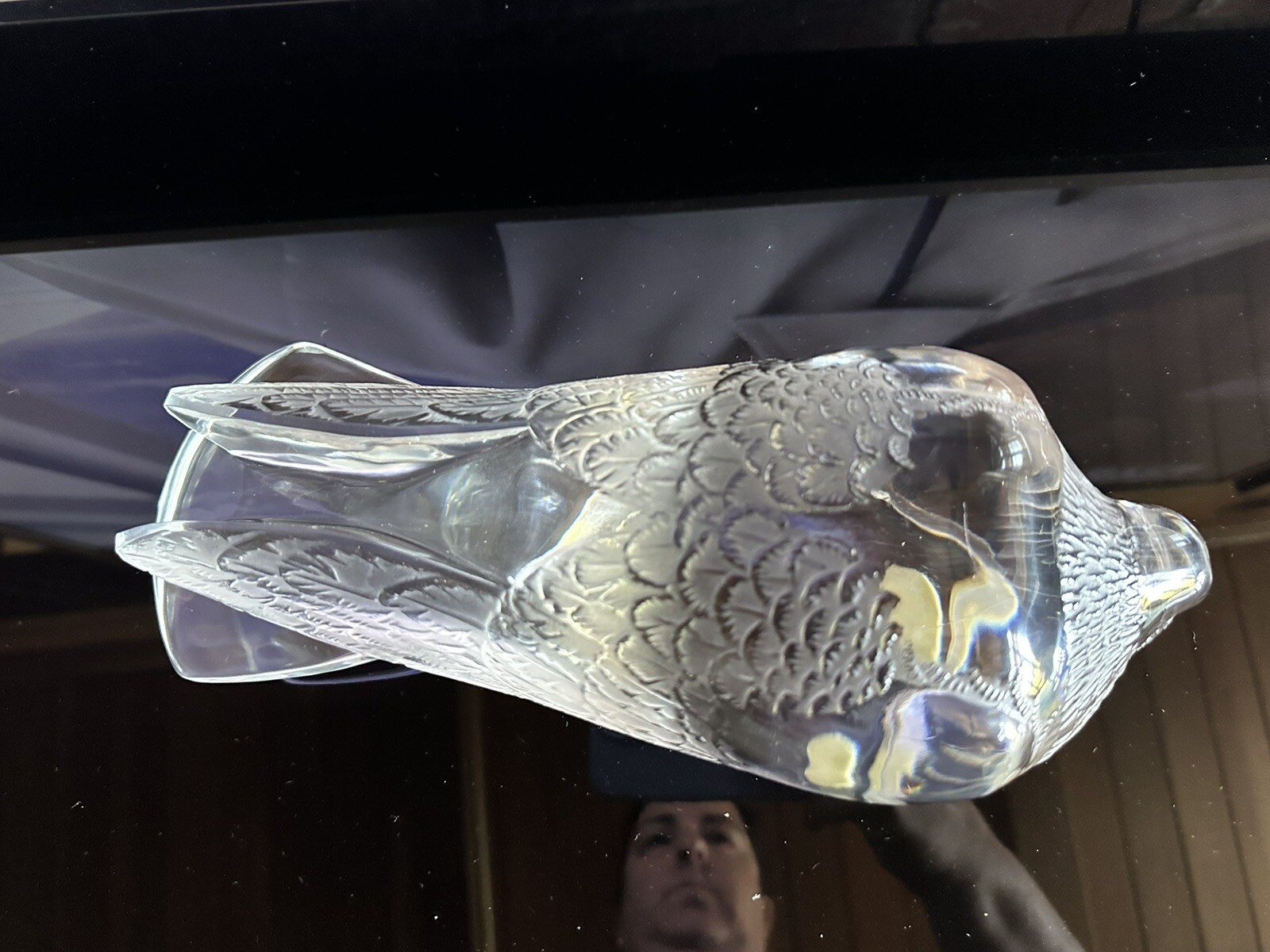 R. Lalique Crystal Pigeon Verviers Paperweight Figurine 11.5 Inches
