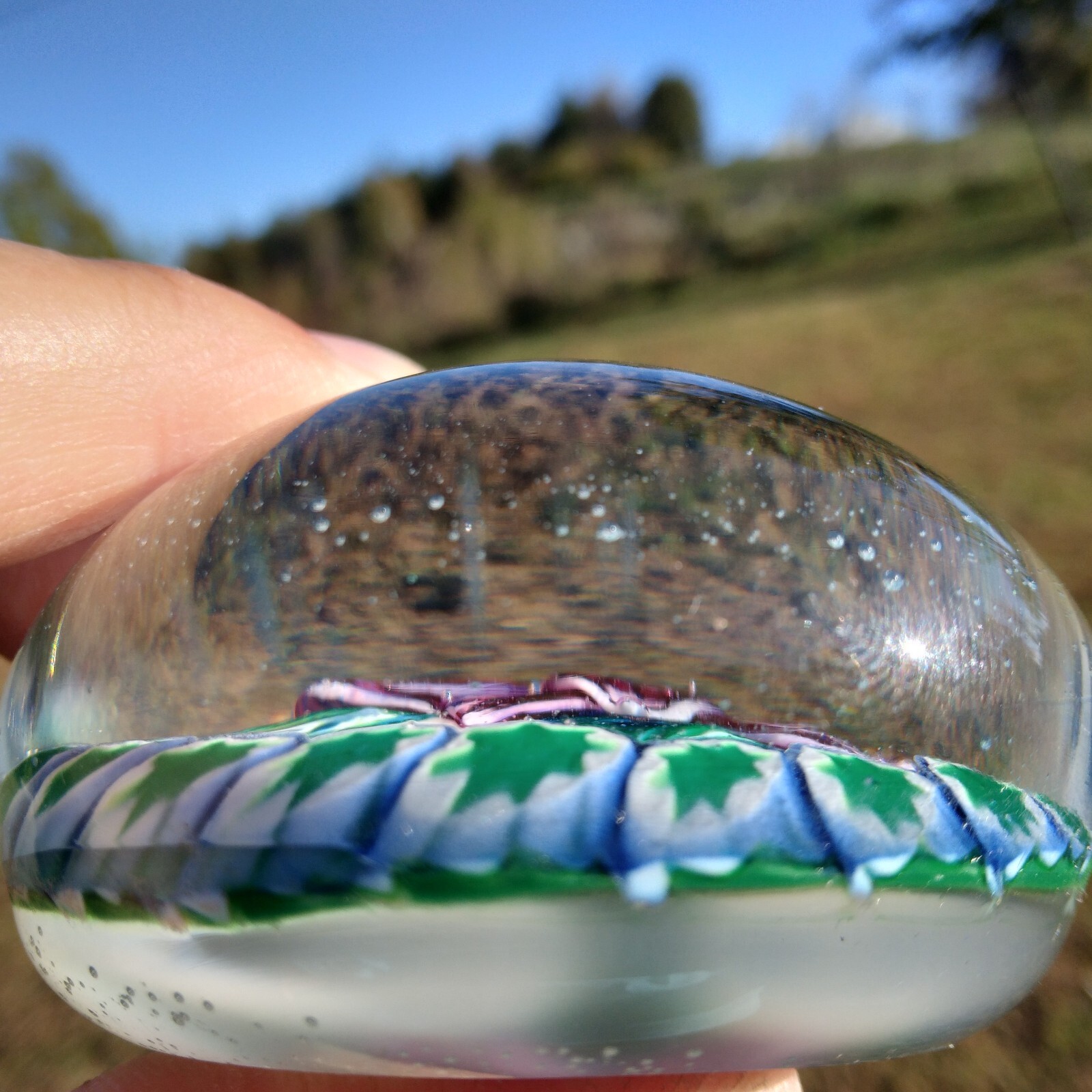 Lampwork Pink Purple Dahlia Clematis Flower Millefiori Glass Paperweight